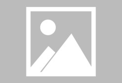 九游体育APP转折点！布鲁克林篮网调整名单，NBA总决赛转会期攻防权衡，管理层满意，训练强度明显提升的简单介绍